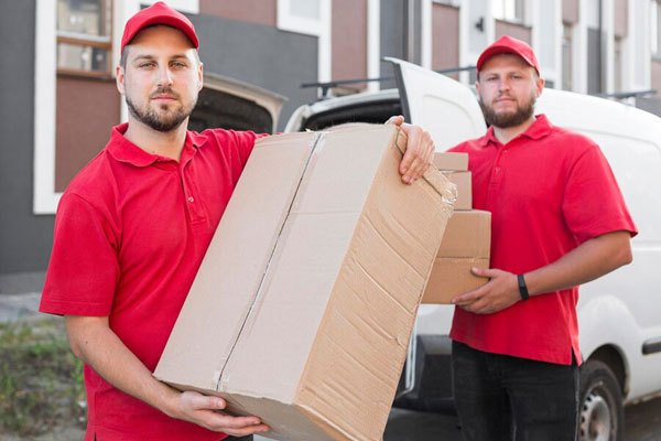 Website Design For Mover And Packers Business Dubai