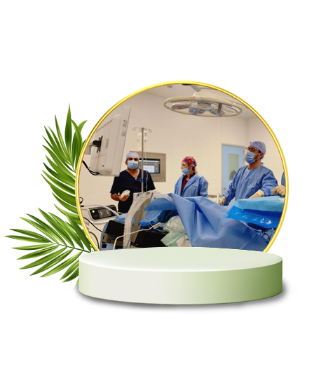 Website Design For Bariatric Surgeon Dubai