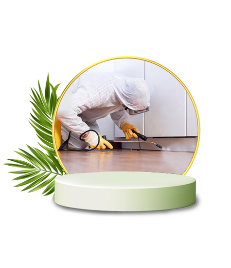 Website Design For Pest Control Dubai