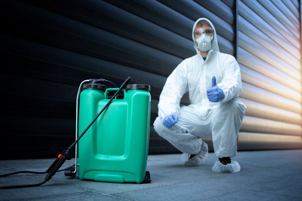 SEO for Pest Control Company in Dubai